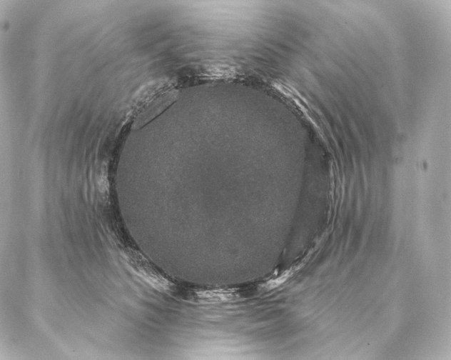 X0000086950516200704231429