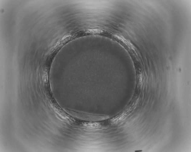 X0000086950517200704231429