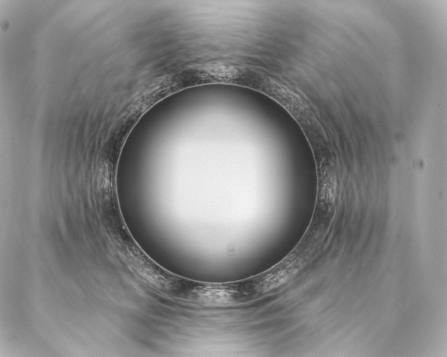 X0000086950518200704231429