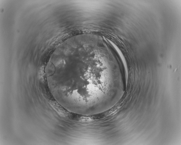 X0000086950519200704231429