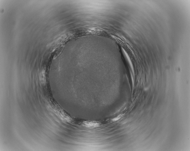 X0000086950520200704231429