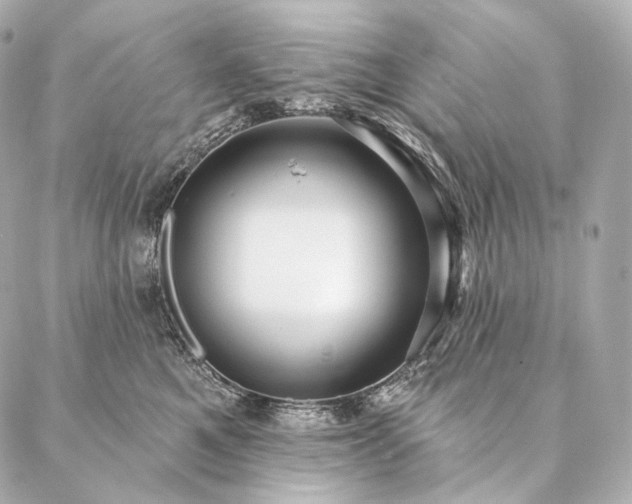 X0000086950521200704231429