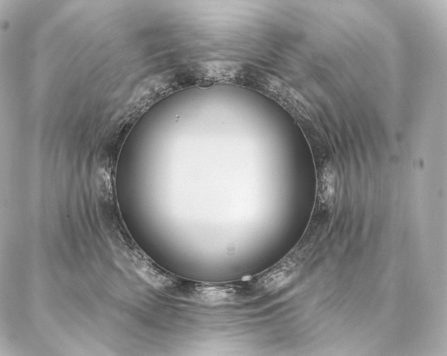 X0000086950522200704231429