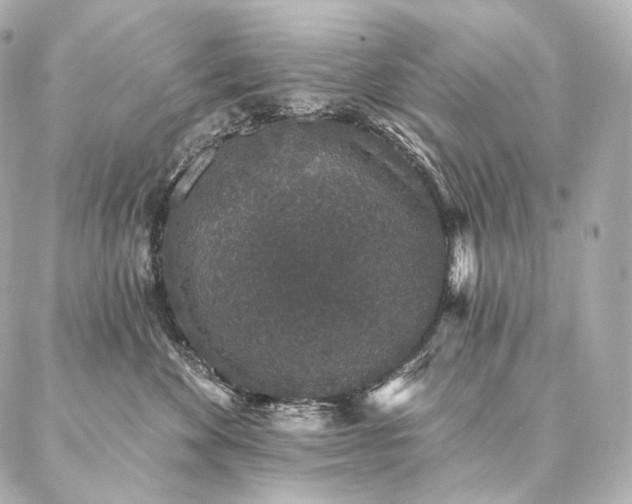 X0000086950524200704231429