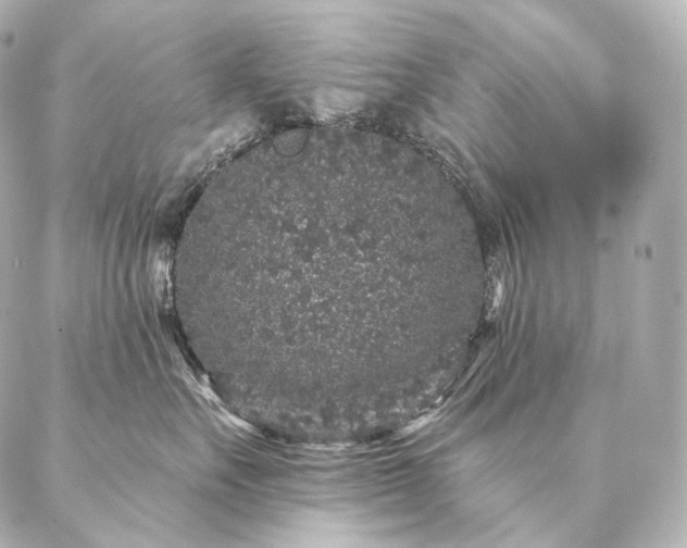 X0000086950527200704231428