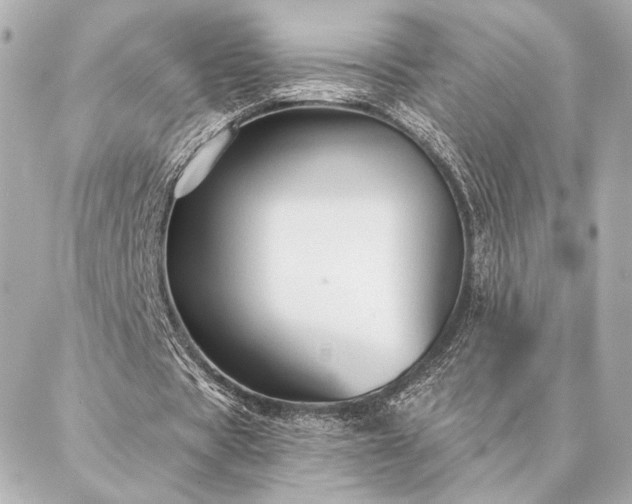 X0000086950529200704231428