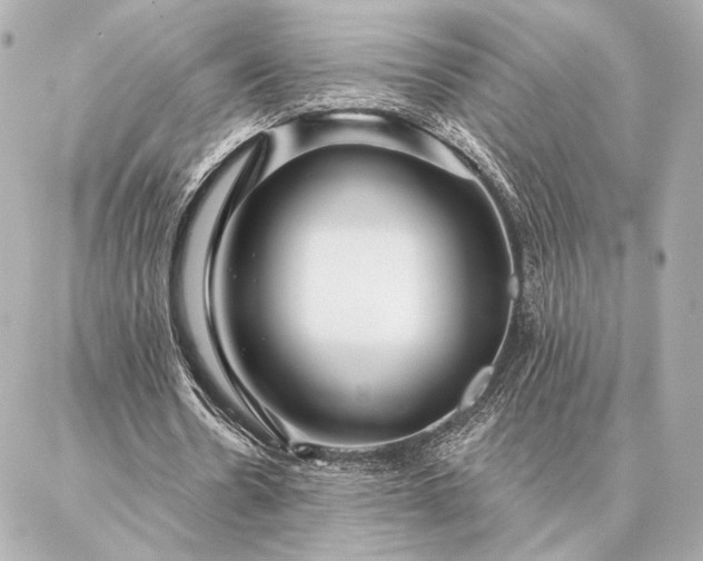 X0000086950530200704231428