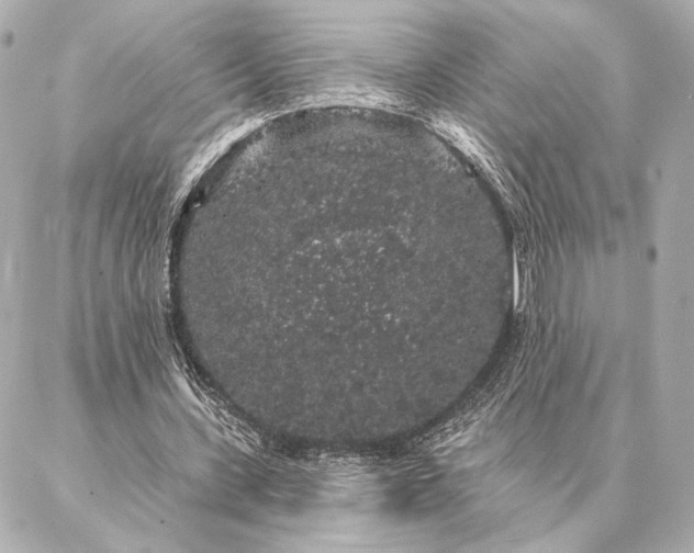 X0000086950531200704231428