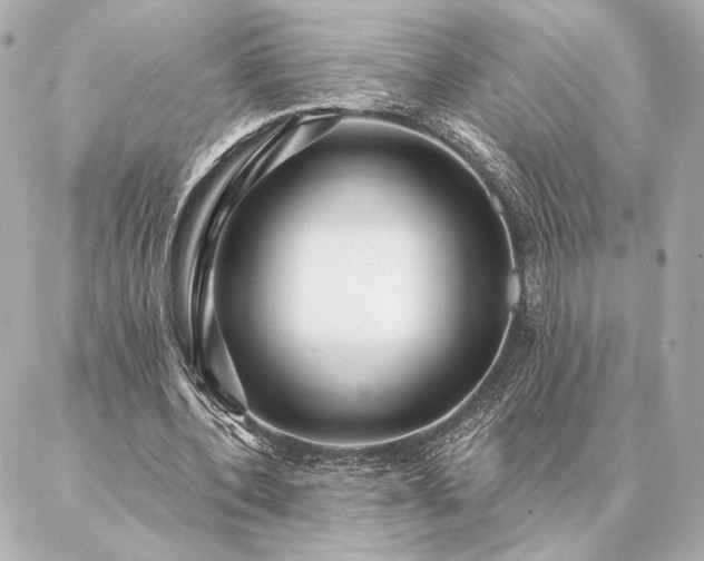 X0000086950532200704231428