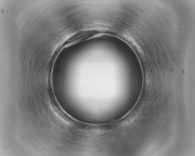 X0000086950533200704231428