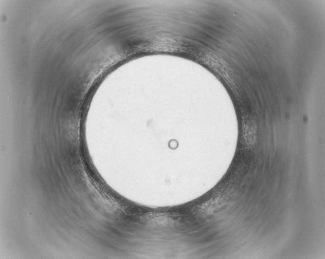 X0000086950534200704231428