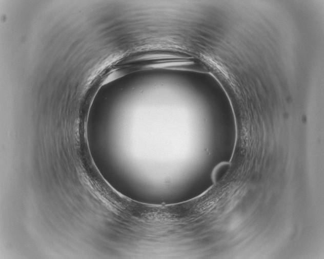 X0000086950535200704231428