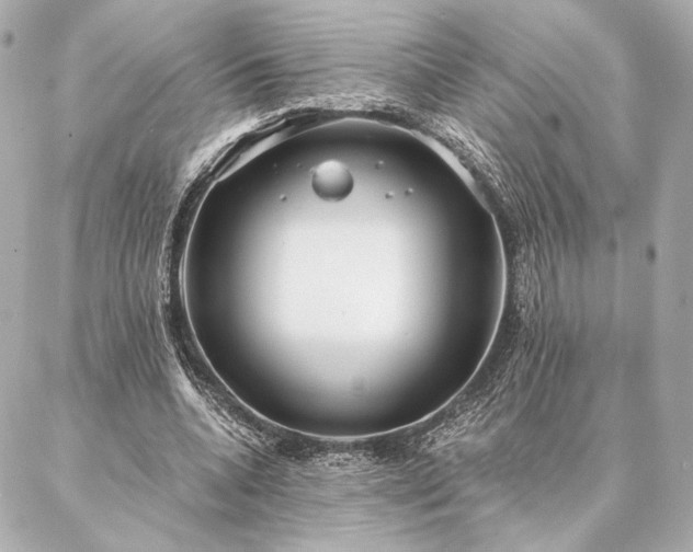 X0000086950536200704231428