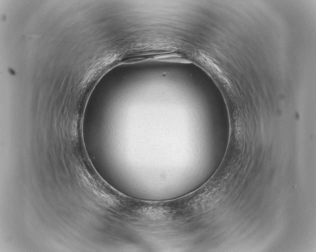 X0000086950537200704231428