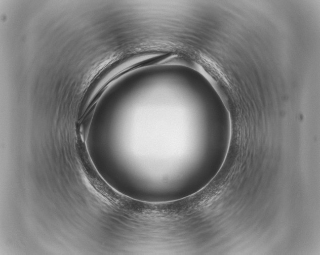 X0000086950538200704231428