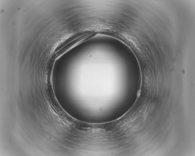 X0000086950539200704231428