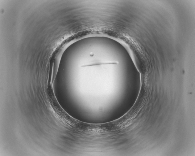 X0000086950540200704231428