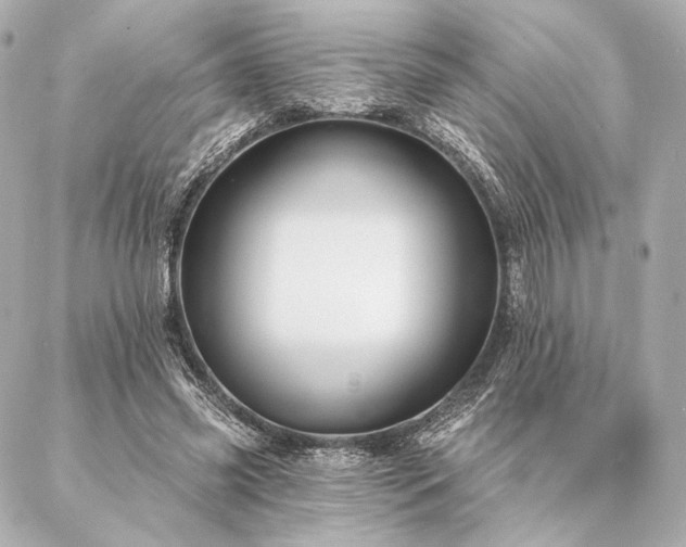 X0000086950541200704231428