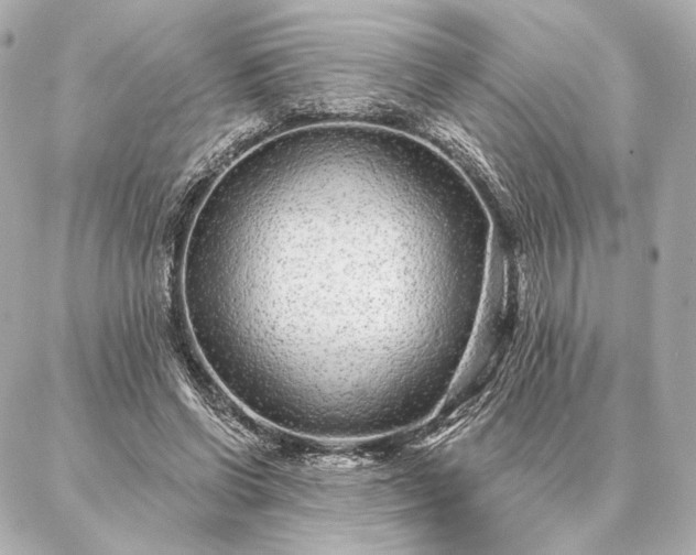 X0000086950542200704231428