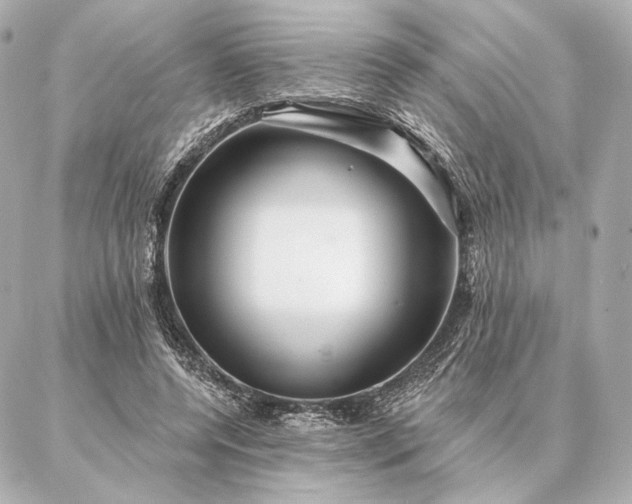 X0000086950544200704231428