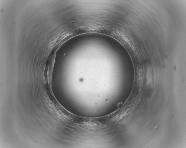 X0000086950545200704231428