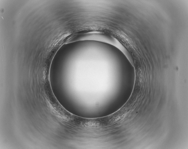 X0000086950546200704231428