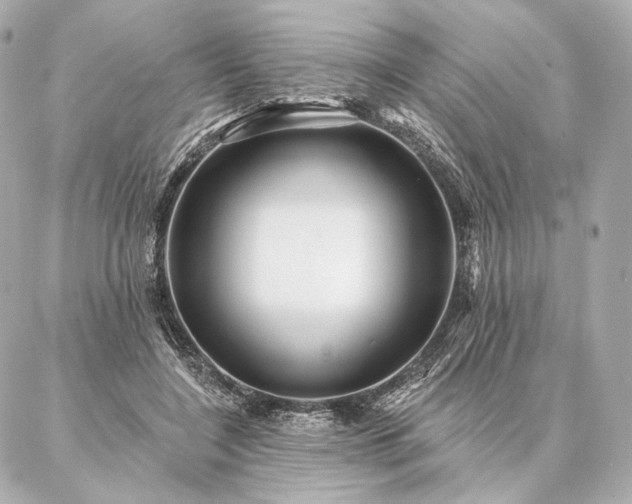 X0000086950548200704231428