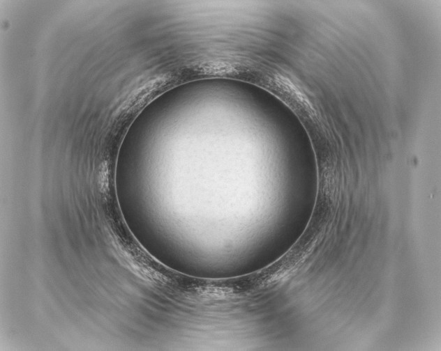 X0000086950549200704231428