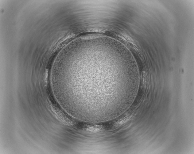 X0000086950550200704231428