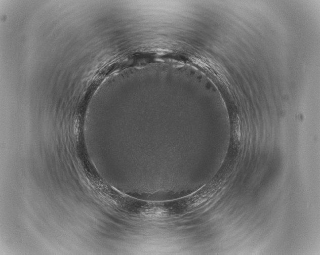 X0000086950551200704231428