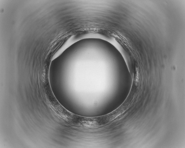 X0000086950552200704231428