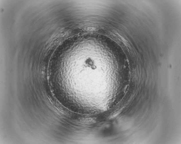 X0000086950553200704231428