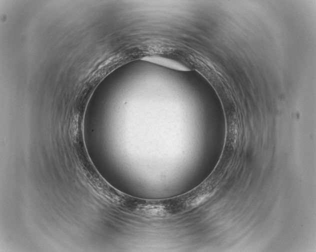 X0000086950554200704231428