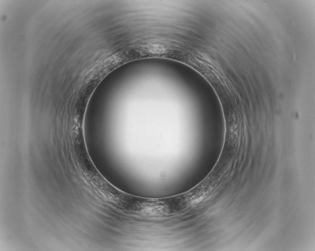 X0000086950555200704231428