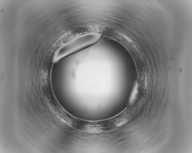 X0000086950556200704231428