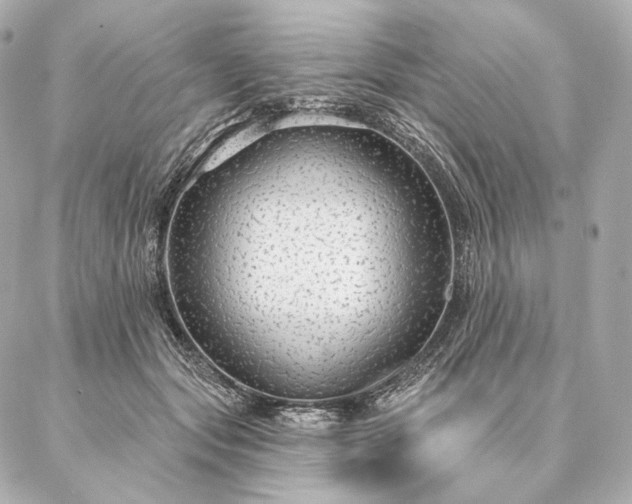 X0000086950557200704231428