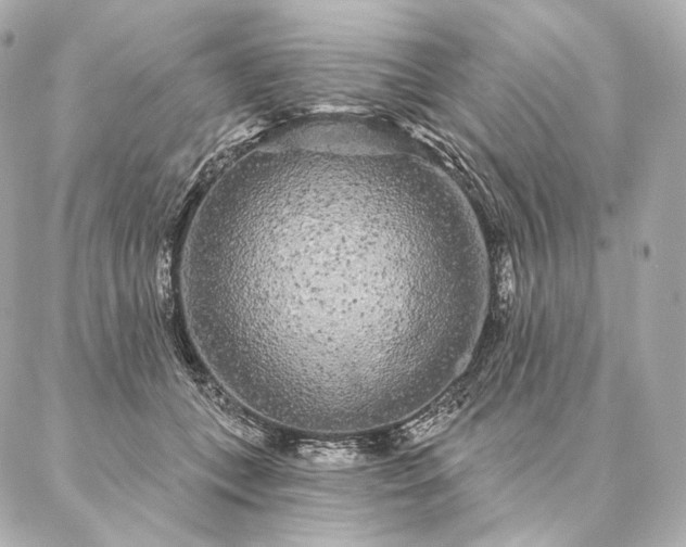 X0000086950559200704231428