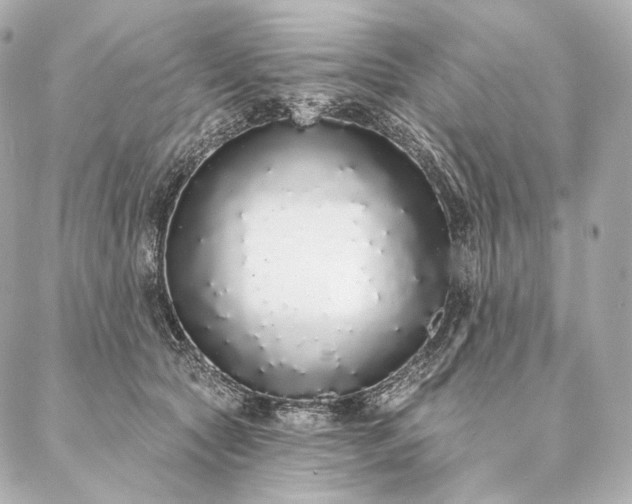 X0000086950561200704231428