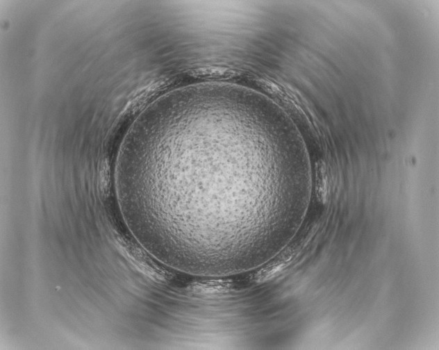 X0000086950563200704231428