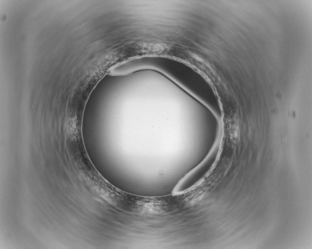 X0000086950564200704231428