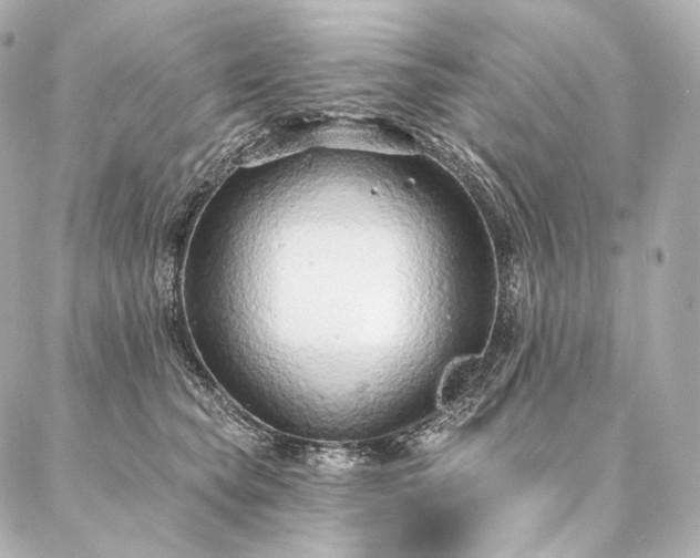 X0000086950565200704231428