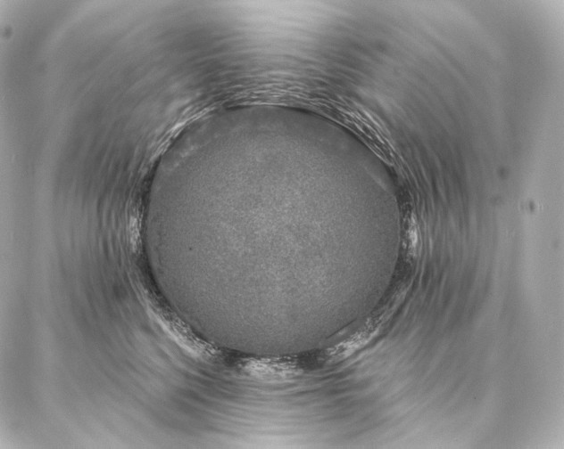 X0000086950568200704231428