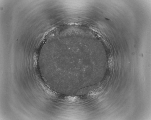 X0000086950570200704231428