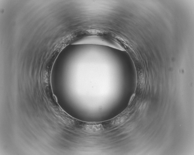 X0000086950571200704231428