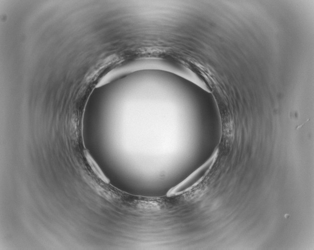 X0000086950572200704231428