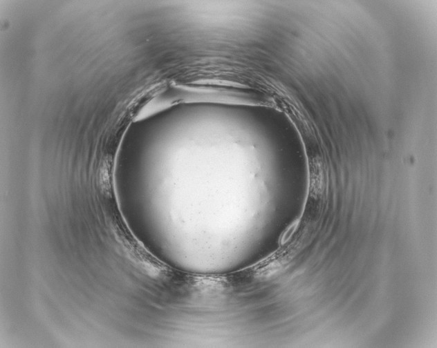 X0000086950573200704231428