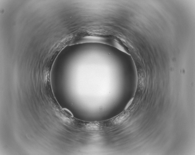 X0000086950574200704231428