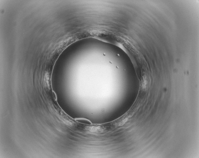 X0000086950575200704231428