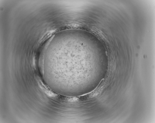 X0000086950576200704231428