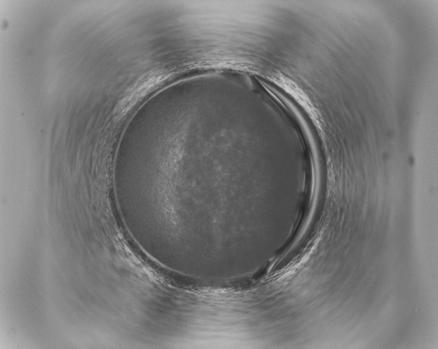 X0000086950577200704231428